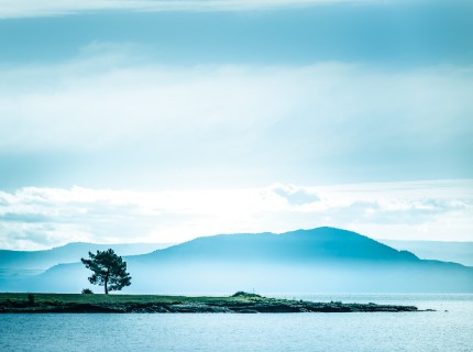 Portfolio 5