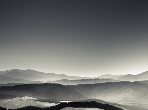 Portfolio 9